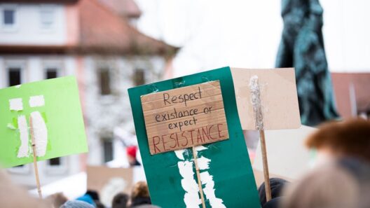 Protestors march with handmade signs in Erlangen, Germany, advocating environmental change.