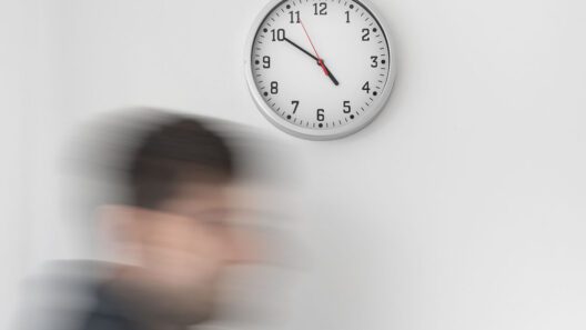 Seis meses para a eleição: quem começa agora já está atrasado